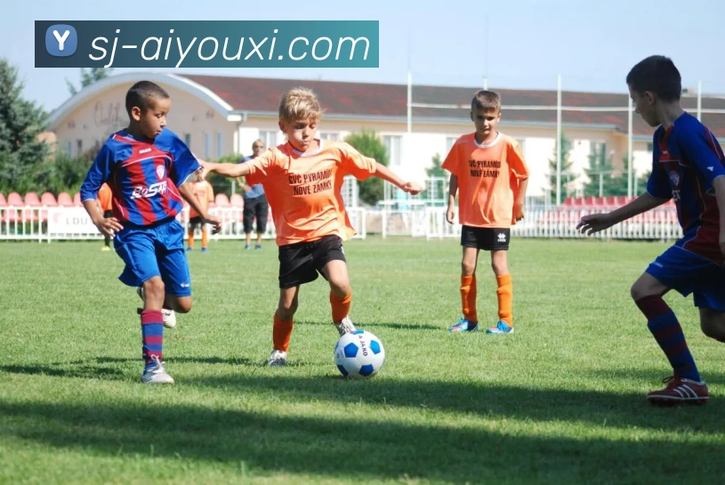 爱游戏服务体系