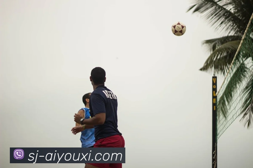 多媒体互动体验